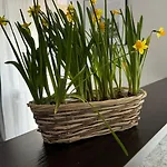 Appartement Rodzinny Kołobrzeg