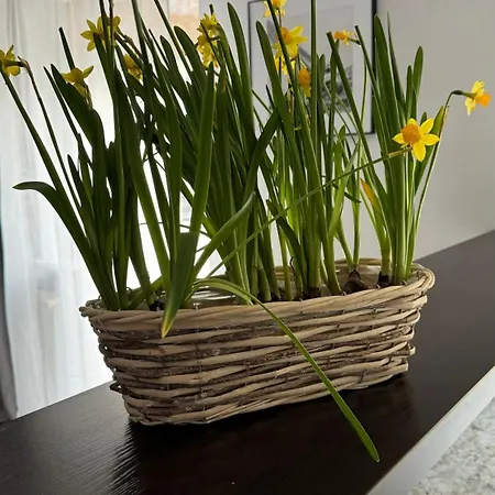 公寓 Rodzinny 科沃布热格