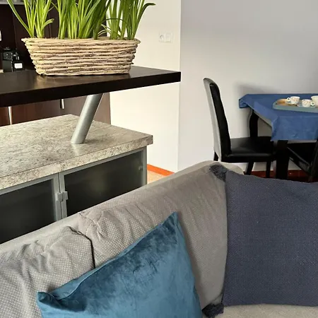 Rodzinny 科沃布热格