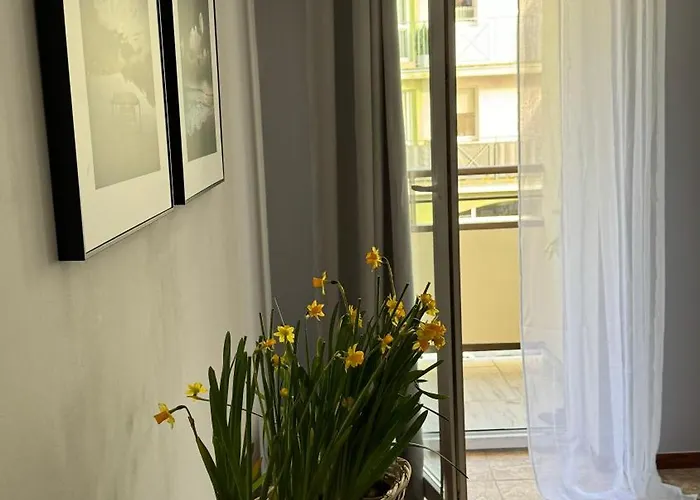 아파트 Rodzinny 코워브제크